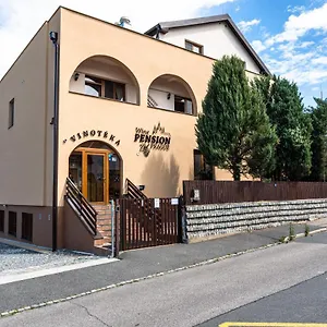 *** Pensjonat Wine Czechy